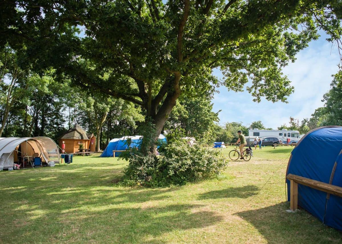 Lee Valley Sewardstone Enfield Dış mekan fotoğraf